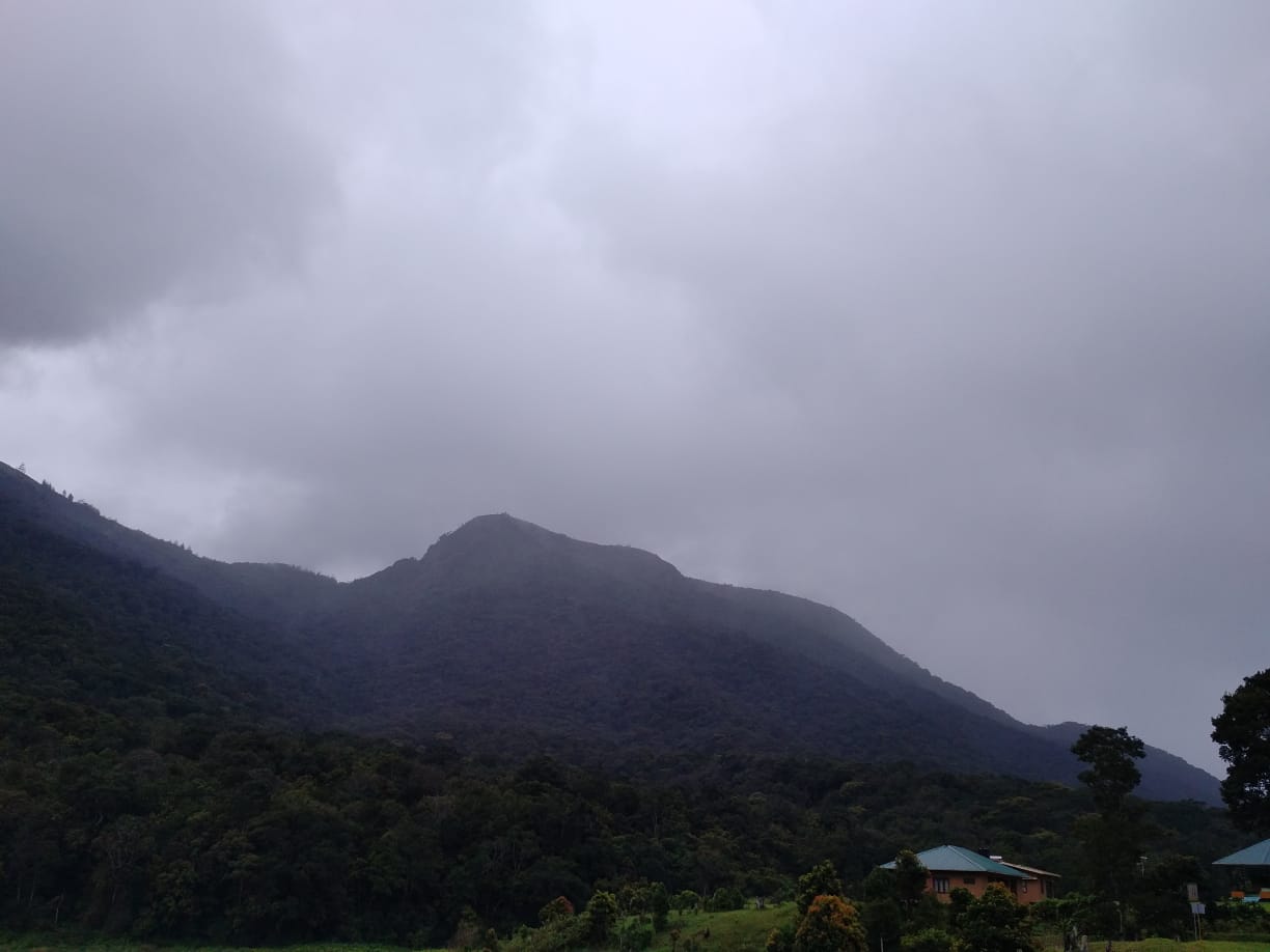 Shola forest on the way to Vattavada near Munnar